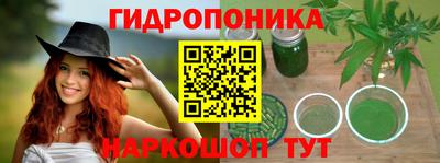 стаф Можга