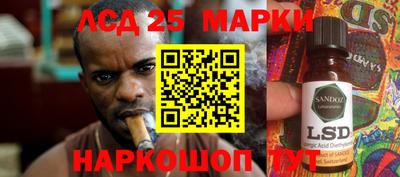 стаф Можга