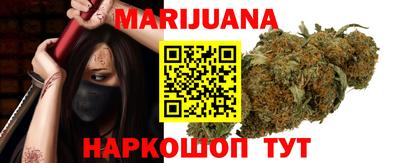 стаф Можга