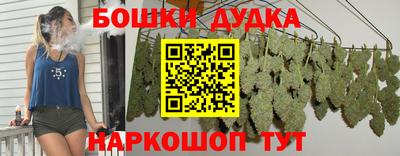 стаф Можга