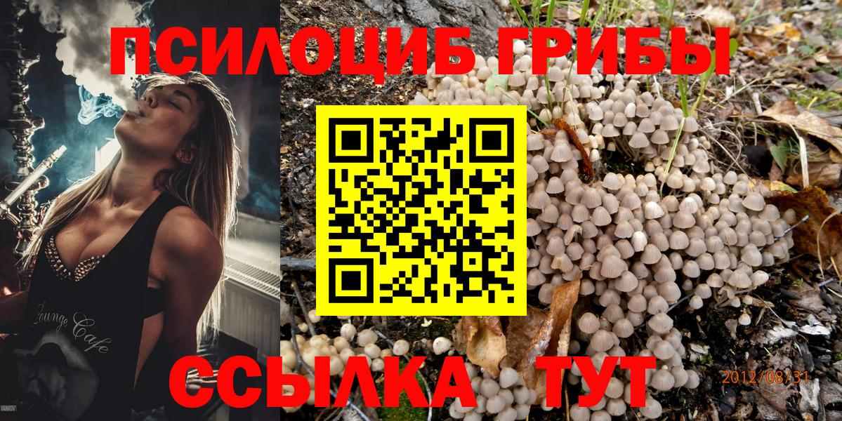 Галлюциногенные грибы ЛСД Туймазы