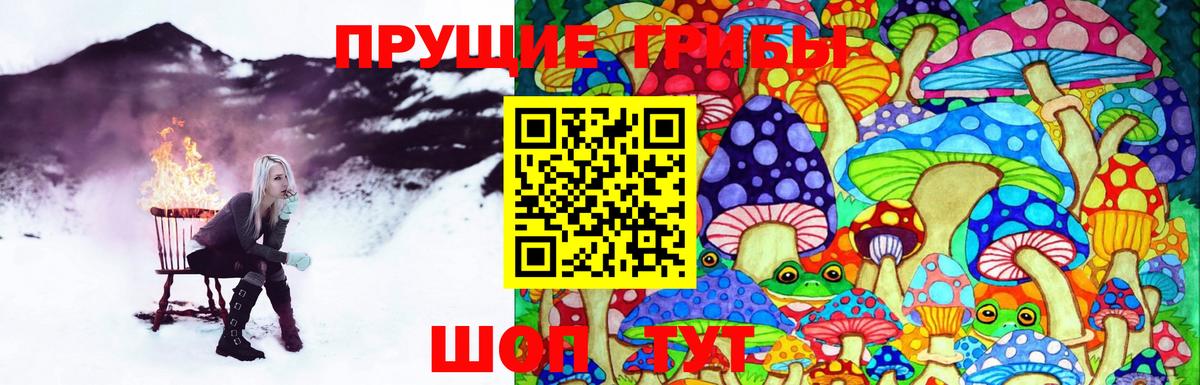 Туймазы  Галлюциногенные грибы Magic Shrooms  Вход с VPN  Псилоцибиновые грибы MAGIC MUSHROOMS 